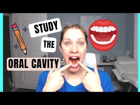 Study Oral Cavity Basics with Me | For Dental Hygiene and Assisting Students